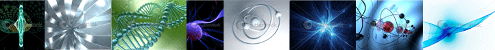 banner.gif